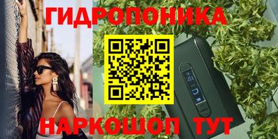 трава Лесосибирск