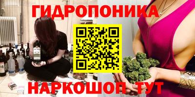 трава Лесосибирск