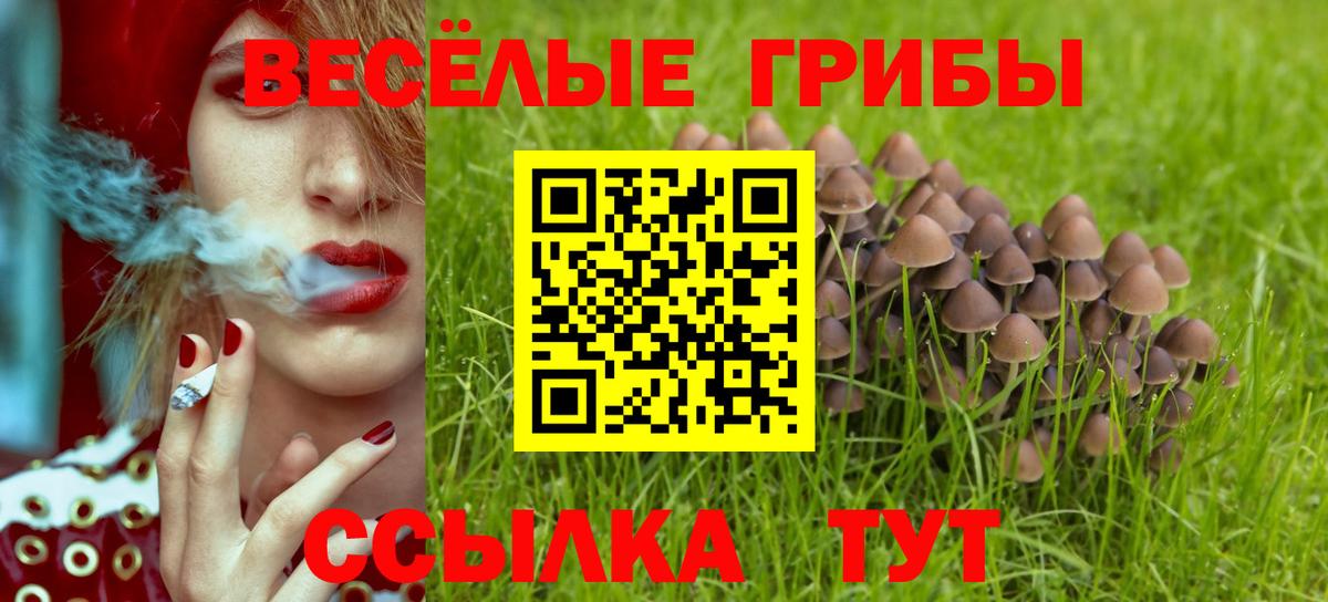 Дербент  Псилоцибиновые грибы Psilocybe  Вход с VPN 