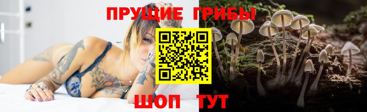 Псилоцибиновые грибы MAGIC MUSHROOMS Дербент